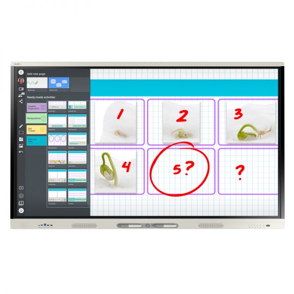 SMART Board MX Series