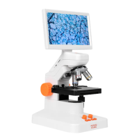 STEM Microscope